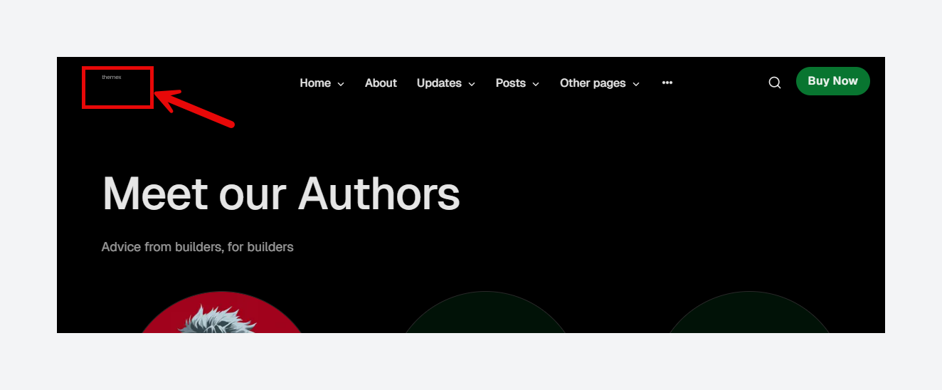 Logo not visible in dark mode due to dark logo